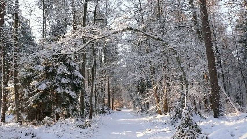 Ferienwohnung für 3 Personen in Hamburg Umland - 2
