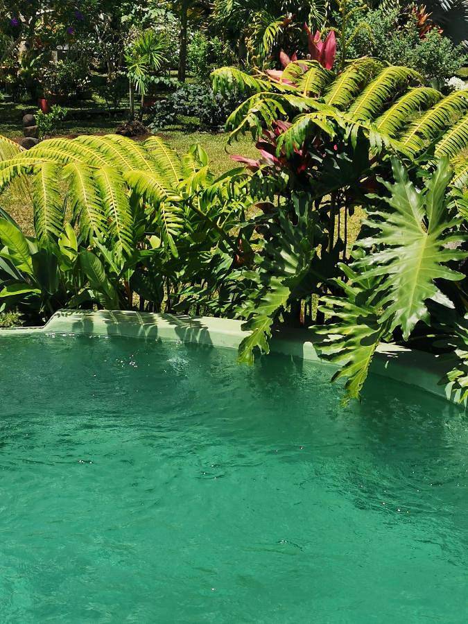Maison d’hôte pour 5 personnes, avec piscine ainsi que vue et jardin dans Polynésie française - 2