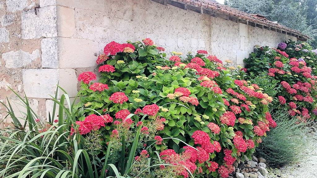 Maison de campagne Entre Terre, Mer et Vignes in Saint-Fort-sur-Gironde, Région de Jonzac