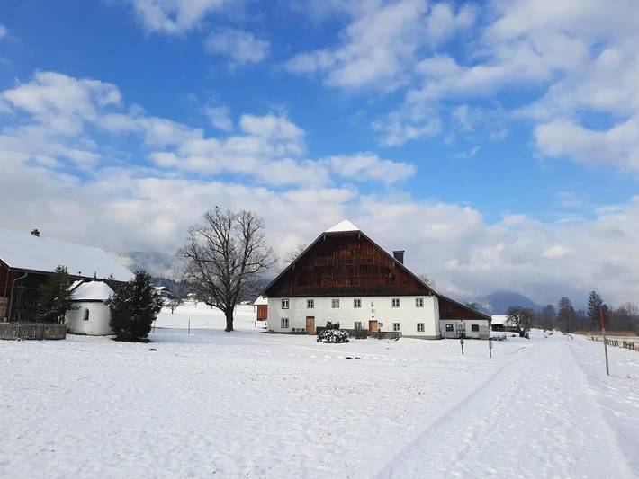Ferienwohnung für 9 Personen, mit Ausblick und Seeblick sowie Garten in Strobl - 2