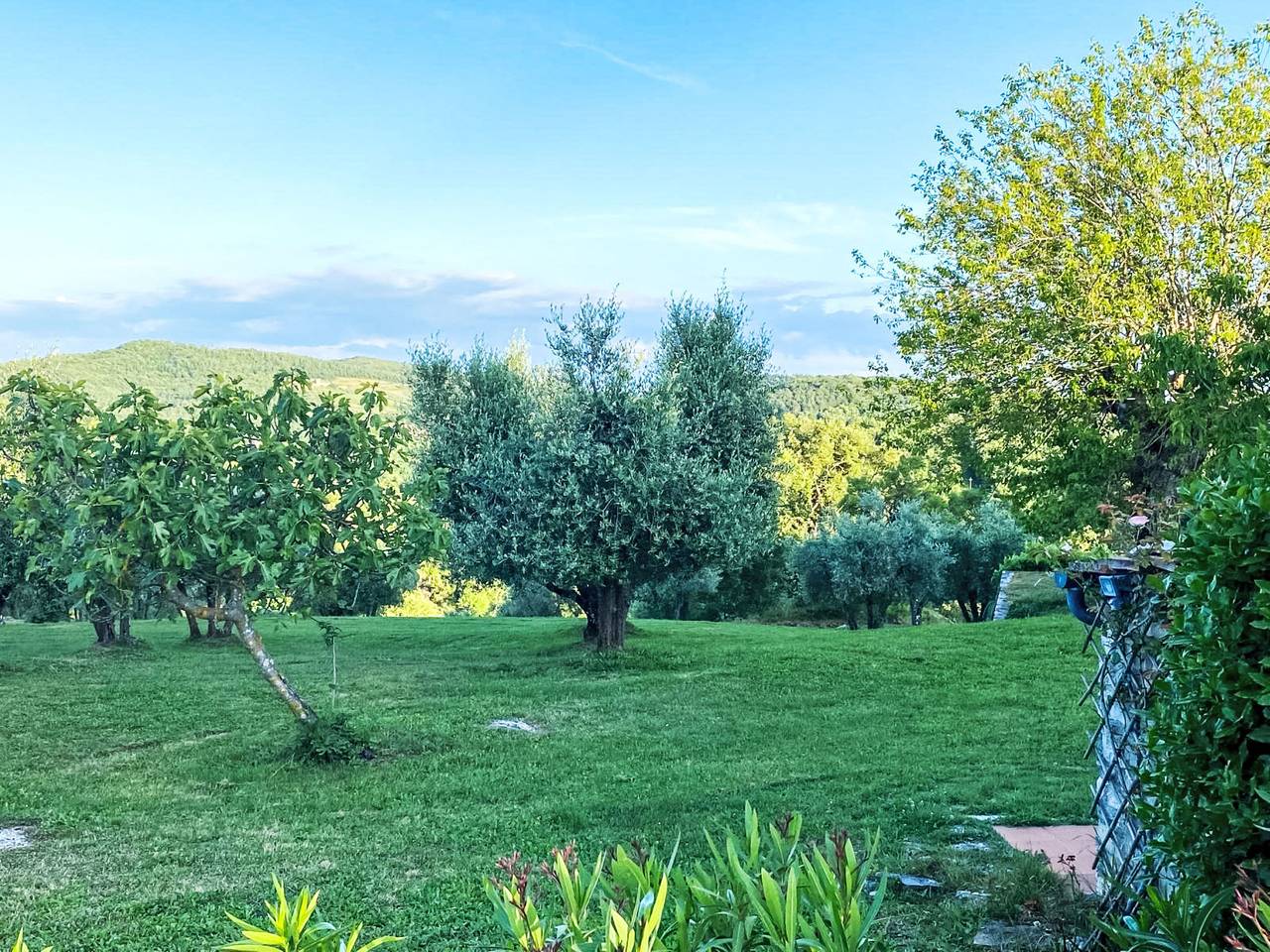 Ganze Wohnung, Fiore di Mandorlo in Radda in Chianti, Chianti