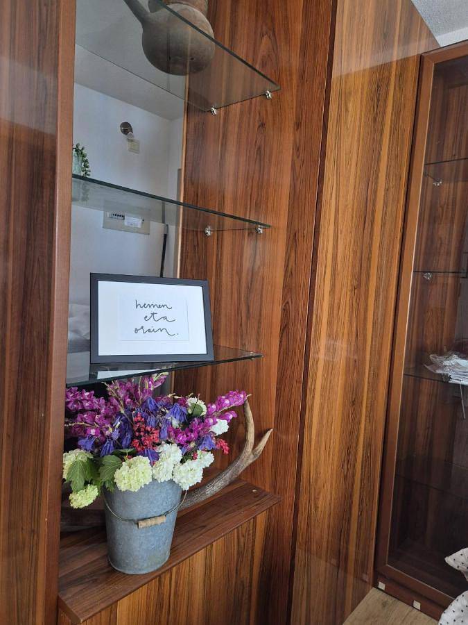 Appartement entier, Two-Bedroom Apartment in Isaba, Pyrénées espagnoles