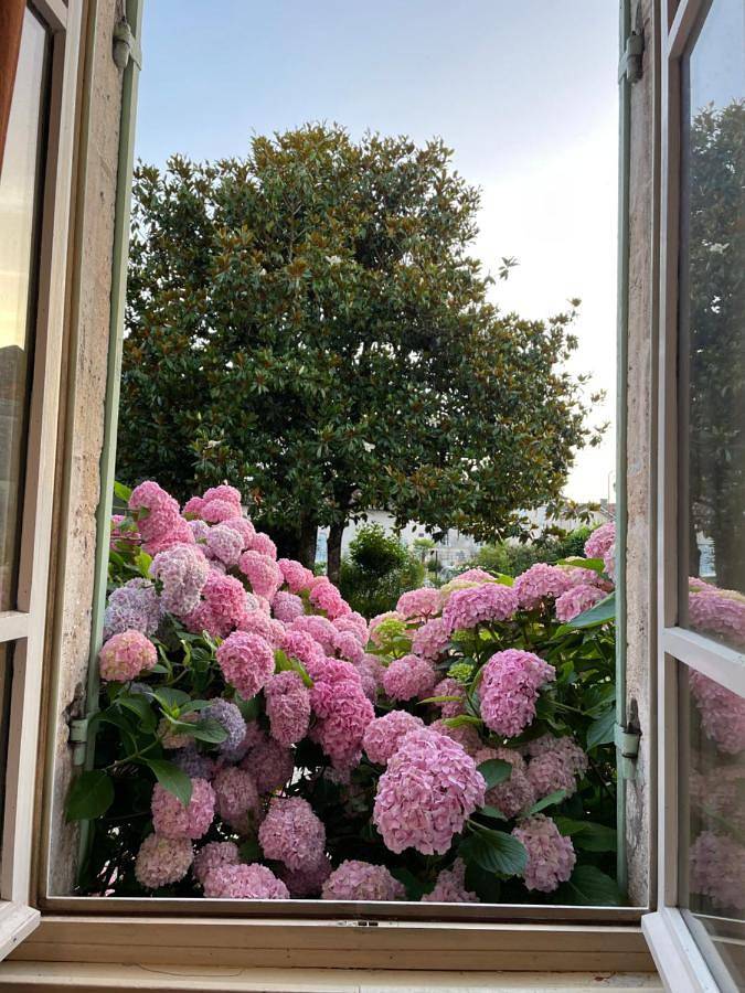 Location de vacances pour 3 personnes, avec vue et jardin à Allemans - 4