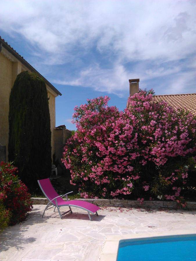 Maison d’hôte pour 2 personnes, avec jardin et piscine, animaux acceptés à Nyons - 2