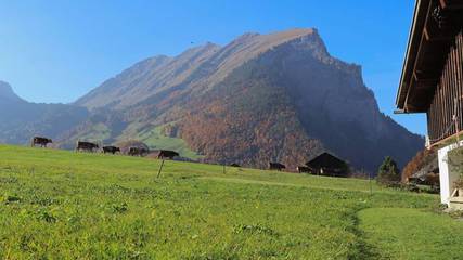 Vacation Apartment for 5 Guests in Au, Lechquellengebirge, Picture 3