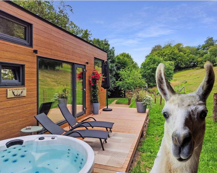 Location de vacances pour 3 personnes, avec jacuzzi ainsi que terrasse et jardin dans Redu