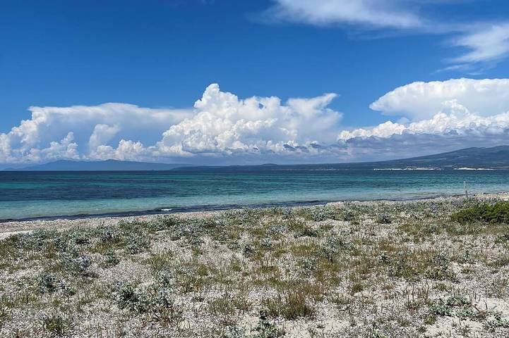 Ganze Wohnung, Pet friendly,close to wild beaches in Sa Rocca Tunda, San Vero Milis