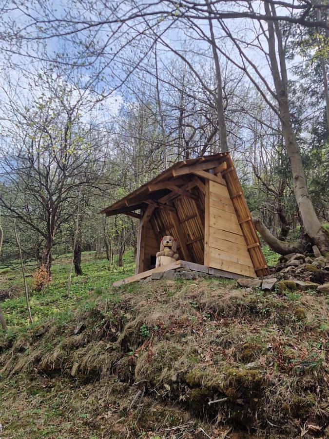 One-Bedroom Chalet in Karpaty (Polska)