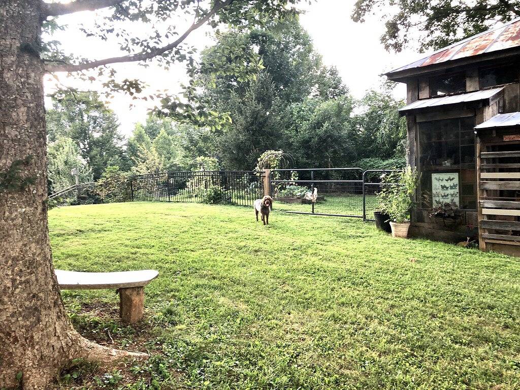 Cozy Backyard Log Cabin/ Great Sunsets/10 min North of Asheville/easy access in Flat Creek, Buncombe County