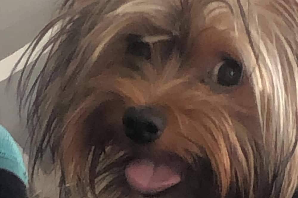 Ganze Wohnung, Apartmán Rio is located in Huncovce\n in Ostslowakei