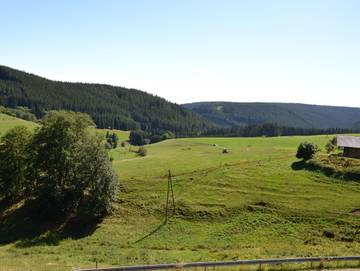 Ferienwohnung für 3 Personen in Suedlicher Schwarzwald, Titisee-Neustadt, Bild 3