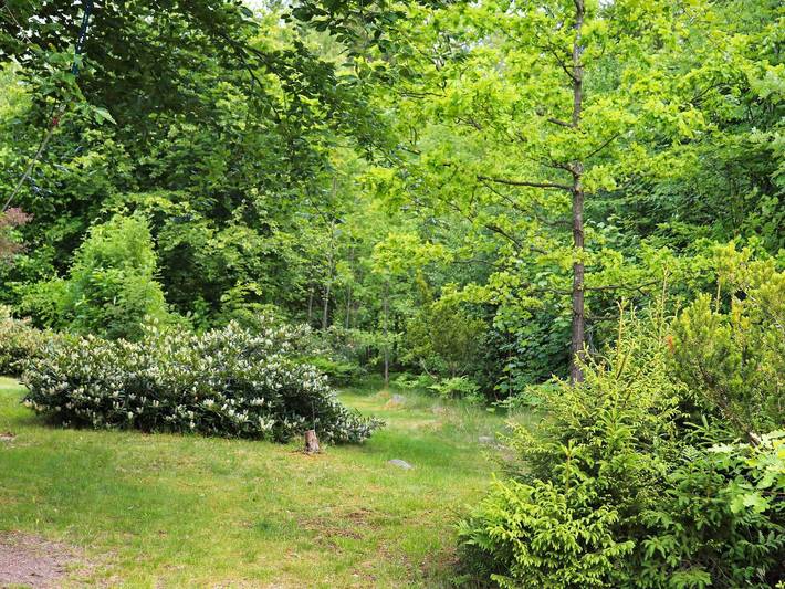 4 personer fritidhus i Åsljunga in Åsljunga, Skåne