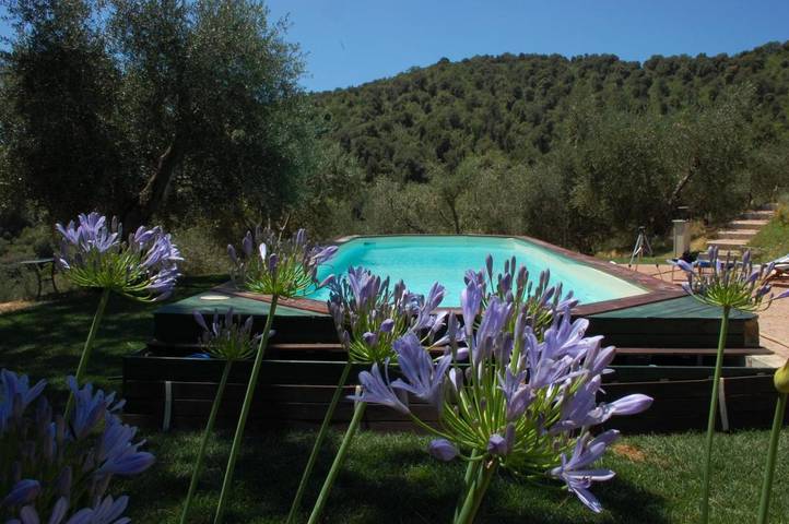 B&b per 3 persone, con Terrazza e Giardino nonché Piscina e Panorama a Castiglione della Pescaia