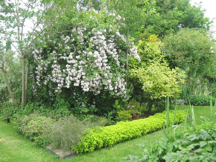 Location de vacances pour 6 personnes, avec vue et jardin, animaux acceptés à Malansac - 2