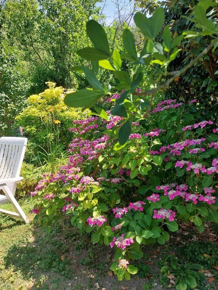 Gîte pour 4 personnes, avec Terrasse et Jardin dans l' Isère - 4