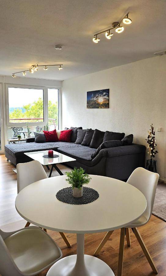 Ferienwohnung für 2 Personen, mit Seeblick und Terrasse sowie Ausblick, mit Haustier in Ortenaukreis