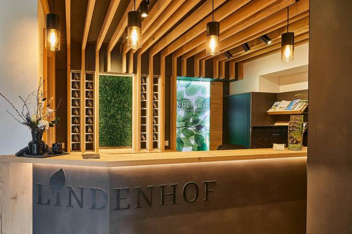 Hotel Lindenhof - Einzelzimmer Standard in Thyrnau, Passauer Land