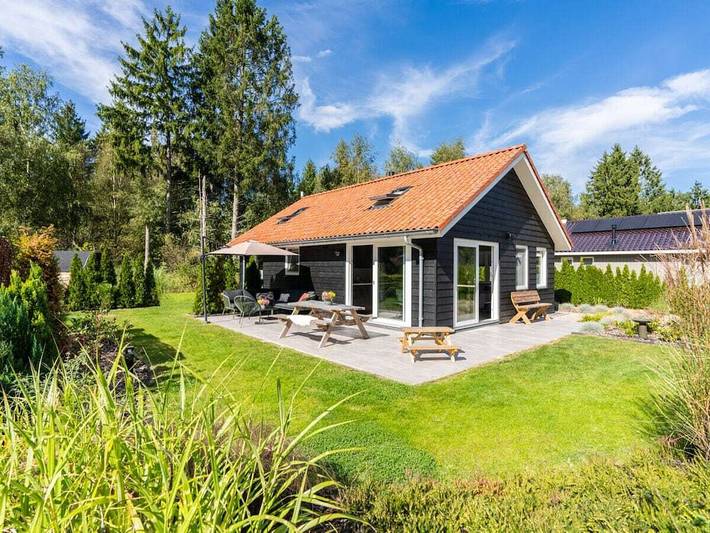 Ferienhaus in Spier mit Schwimmbecken in Nationalpark Dwingelderveld
