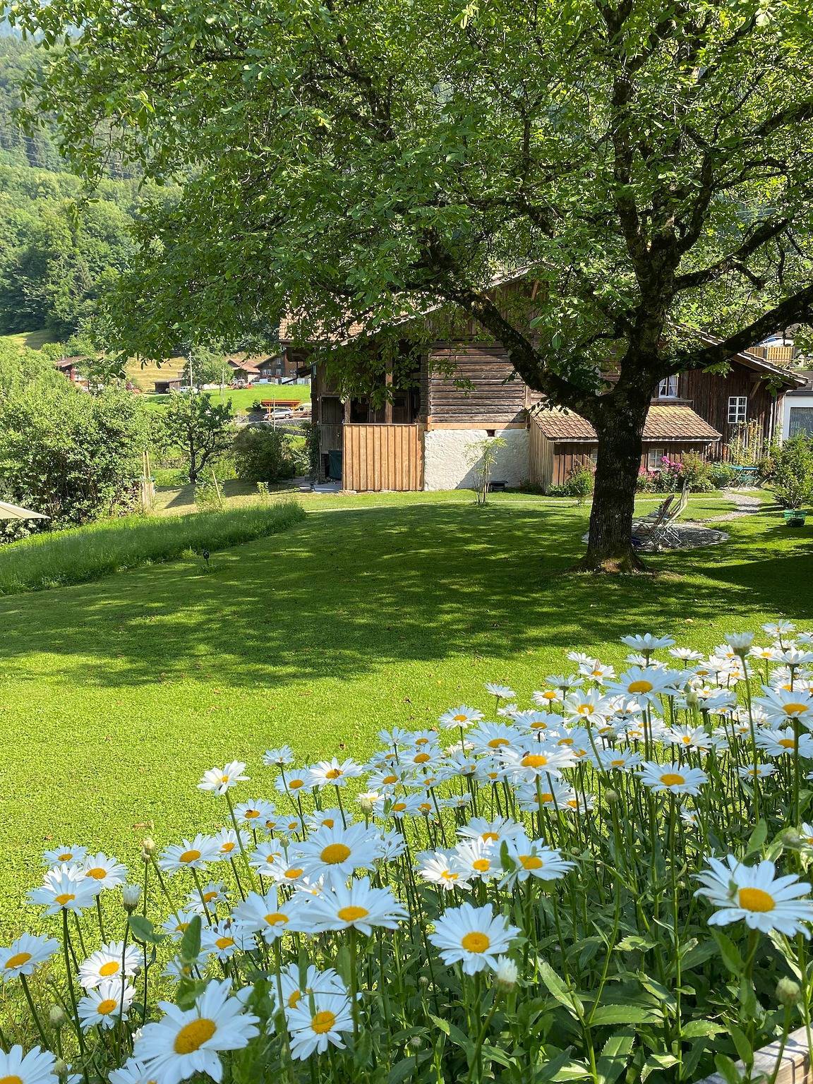 Casa vacanza per 5 persone con terrazza in Iseltwald, Oberland Bernese