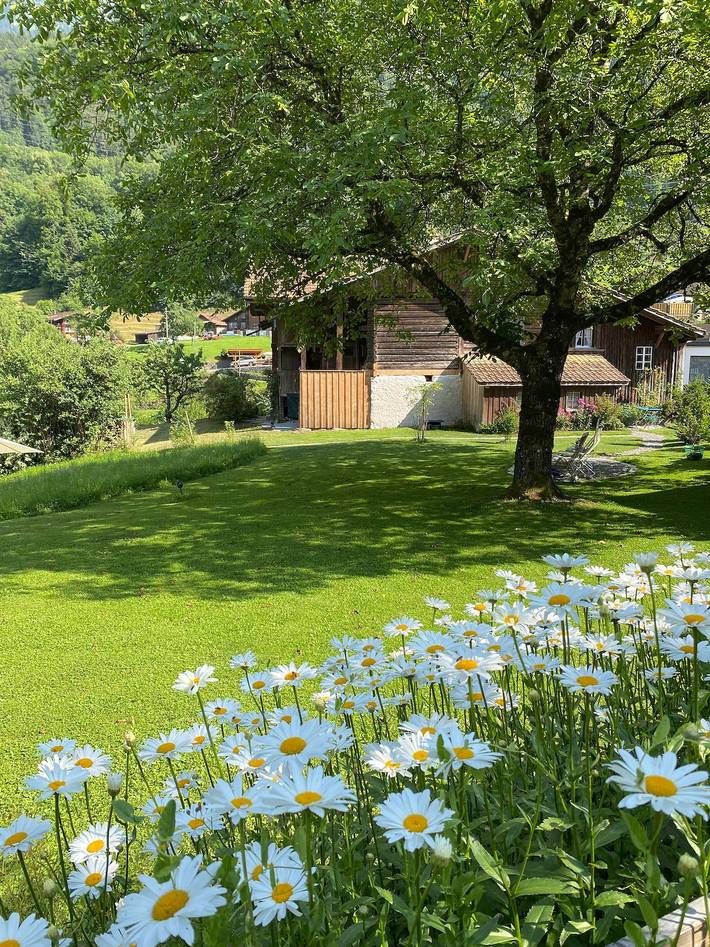 Ferienhaus für 5 Personen, mit Garten und Seeblick sowie Terrasse im Berner Oberland - 3