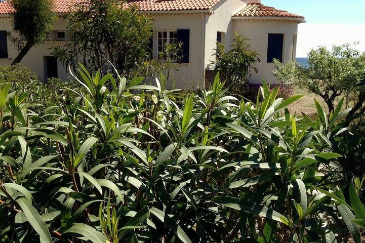 Villa pour 12 personnes, avec terrasse et jardin à Giens