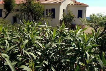 Location de vacances pour 12 personnes, avec jardin et terrasse dans Plage Des Pesquiers Hyeres