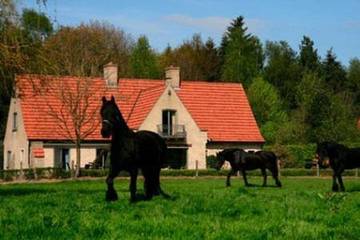 Chambre d’hôte pour 6 personnes, avec jardin et piscine ainsi que vue et vue sur le lac à Oostkamp