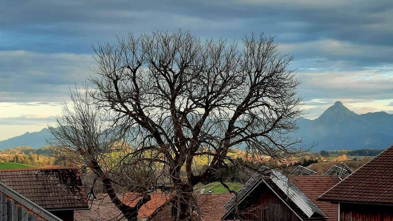 Ganze Ferienwohnung, Ferienwohnung für 4 Personen (40 m²) in Pfronten in Pfronten, Bayerisch Schwaben