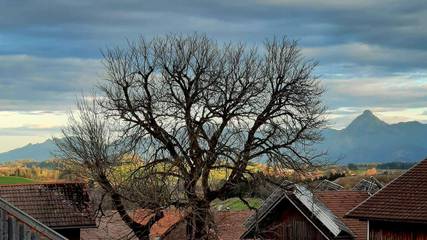 Hütte für 4 Personen in Pfronten, Allgäuer Alpen, Bild 4