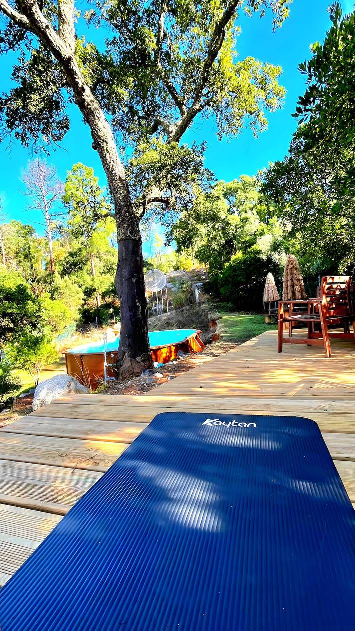 Casa rural para 12 personas, con jardín, Se admiten mascotas en Monchique - 3