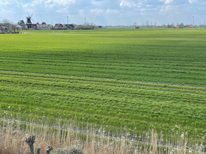 Ferienhaus für 6 Personen, mit Garten und Terrasse in Carolinensiel - 4
