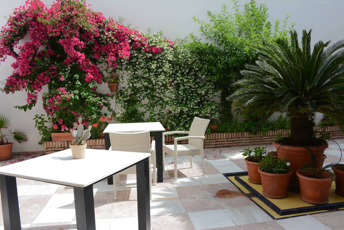 Entire apartment, Apartment 'Loft' with Shared Terrace, Wi-Fi and Air Conditioning in Distrito Centro (Córdoba), Cordoba