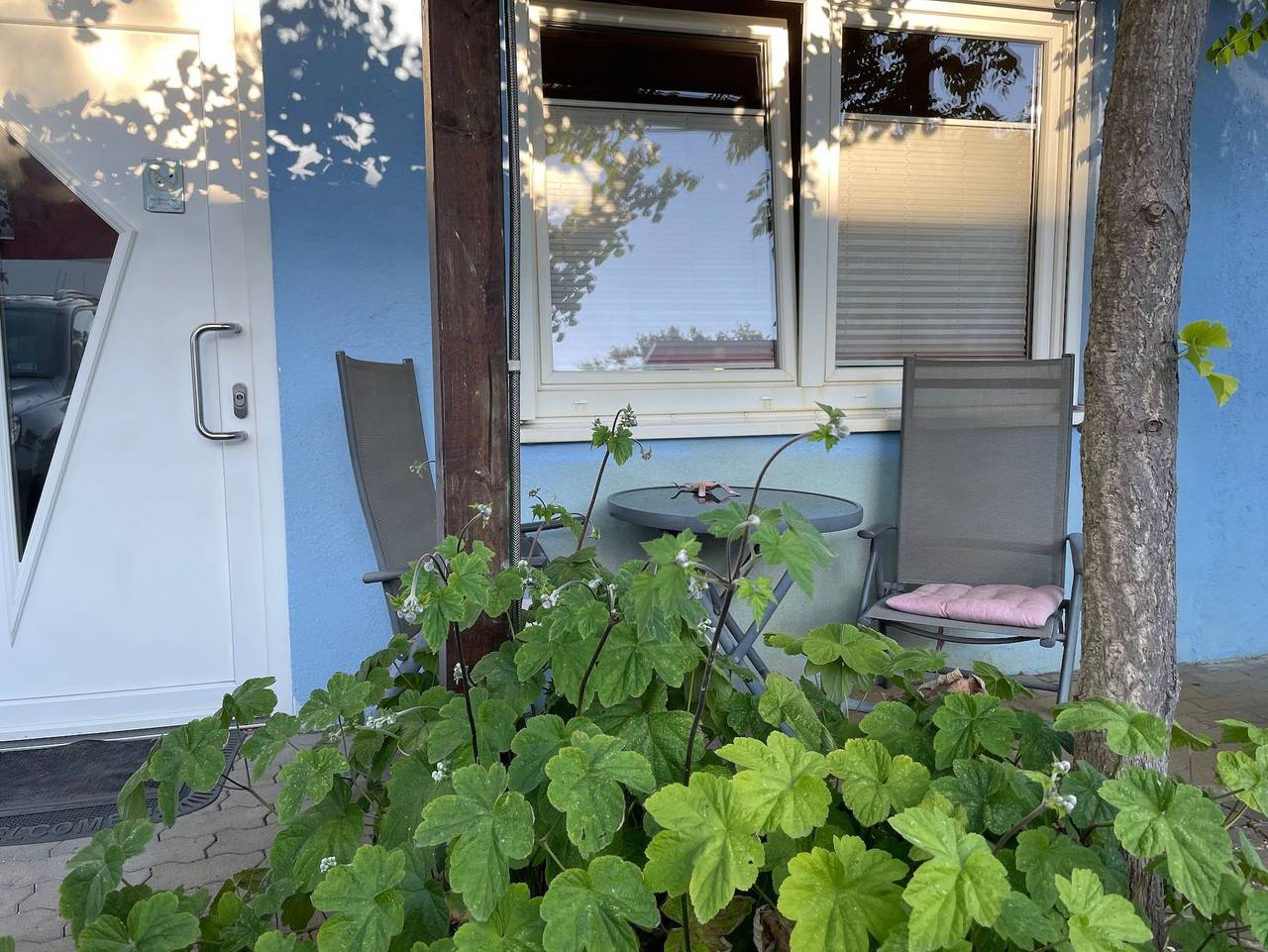 Ganze Ferienwohnung, Ferienwohnungen Hasenpfühlerweide Speyer - Weide 1 - 50 m2 Apartment mit Terrasse im Eg in Speyer, Rheinebene