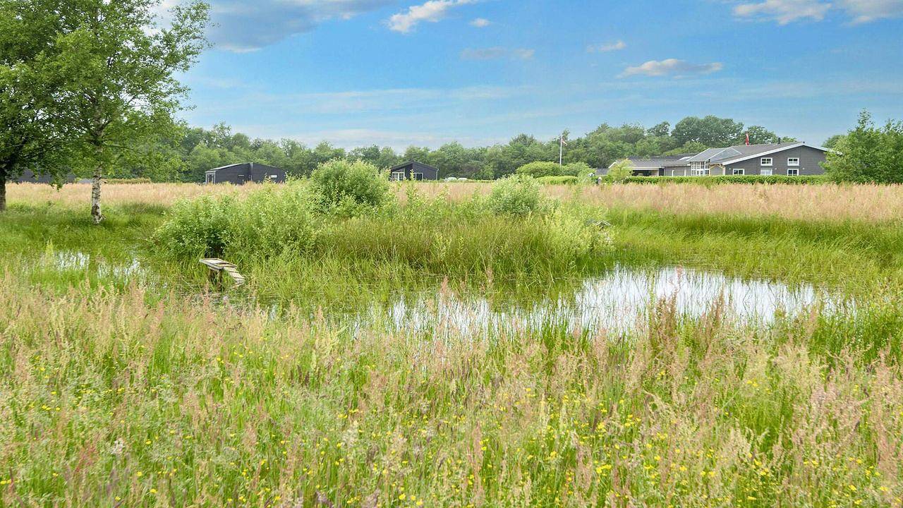 Ferienhaus für 14 Personen (175 m²) in Ansager in Région de Varde
