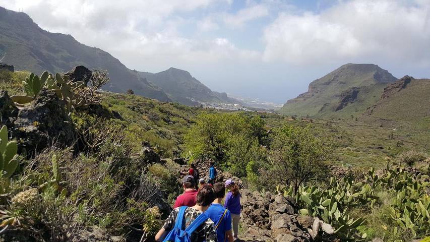 Gîte pour 3 personnes, avec jacuzzi et balcon dans Tamaimo - 2