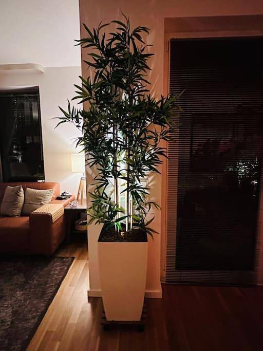 Ferienwohnung für 3 Personen, mit Terrasse und Whirlpool in Hamburg-Nord - 3