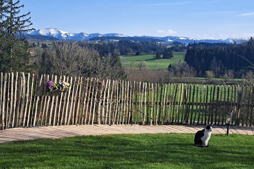 Ganze Wohnung, Ferienwohnung im Allgäu mit direktem Blick auf den Hochgrat in ruhiger Lage! in Argenbühl, Region Bodensee-Oberschwaben