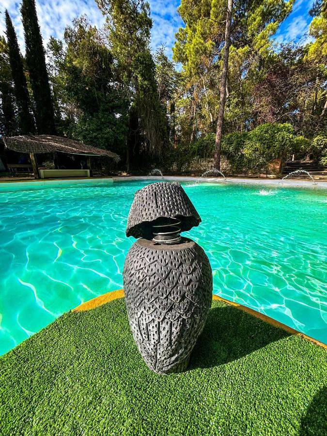 Chalet para 2 personas, con jacuzzi y piscina además de jardín y sauna, Se admiten mascotas en Provincia de Cuenca - 2