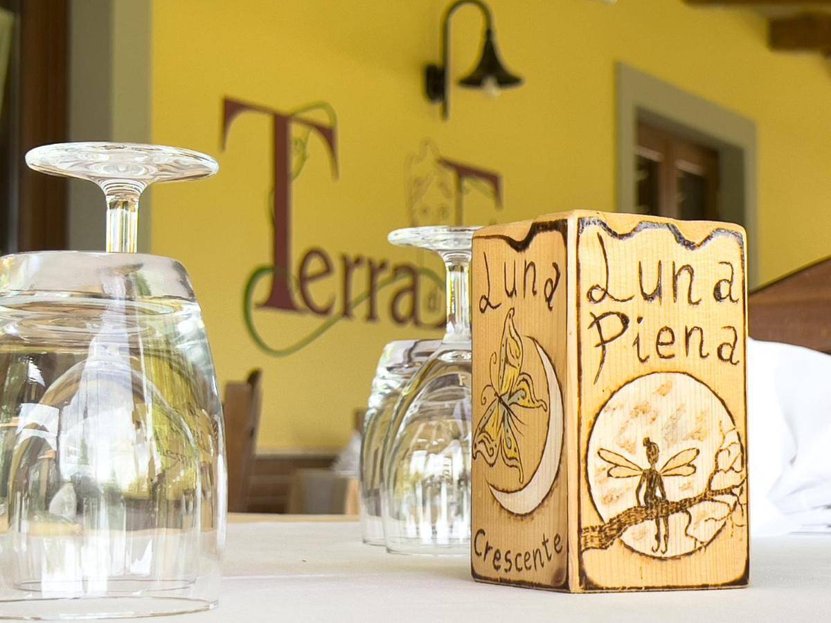 Agriturismo Terra Di Elea azienda agricola di Raimondo Michela in Ascea, Cilento Coast