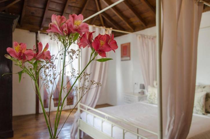 Hotel para 2 personas, con terraza en Güímar - 3