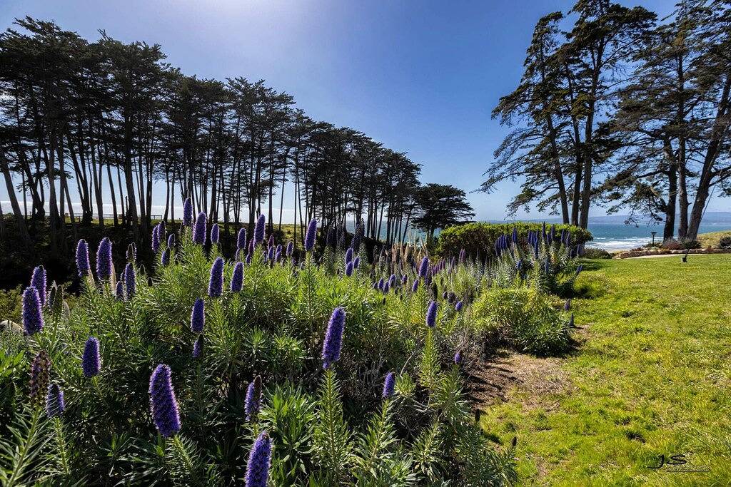 Ganze Wohnung, Beautiful 1br at Seascape Resort-Garden View in Rio del Mar, Santa Cruz County
