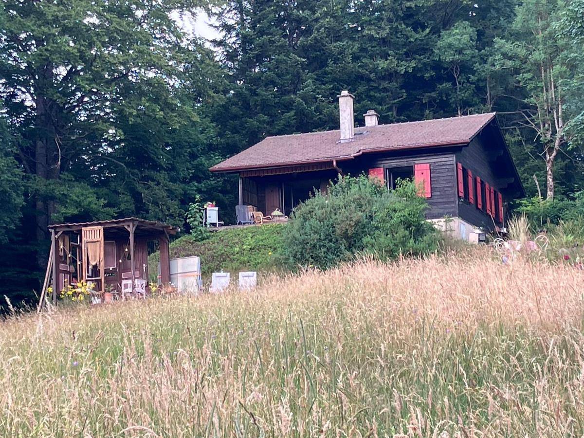 Un ptit chalet in Les Brenets, Massif du Jura
