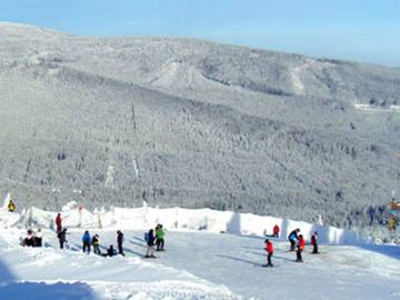 Hütte für 3 Personen in Elbingerode, Harz, Bild 2