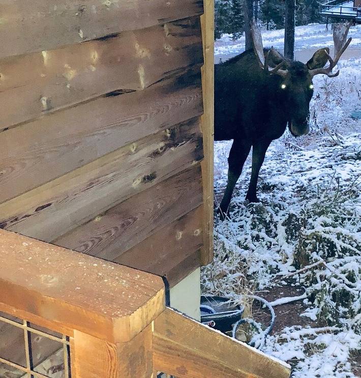 Ferienhaus für 12 Personen, mit Balkon und Whirlpool - 1