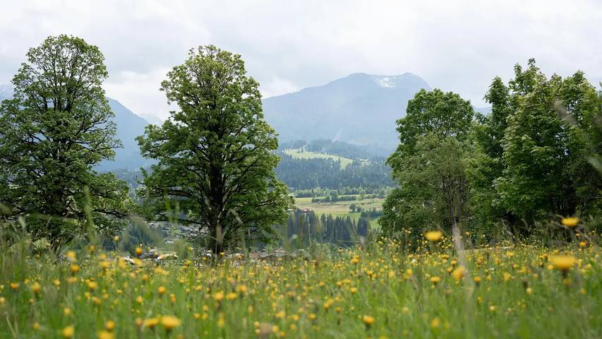 Ferienwohnung für 6 Personen in Fieberbrunn - 3