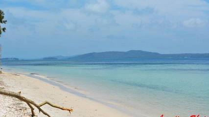 Holiday Home for 12 People in Corlette, Hunter Valley, Photo 1