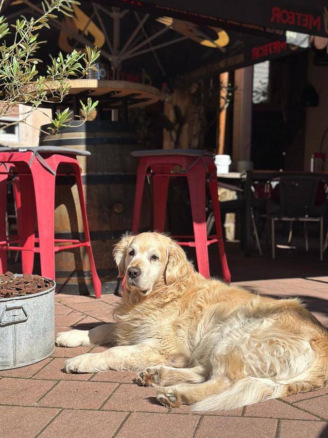 Location de vacances pour 2 personnes, avec vue à La Petite-Pierre - 4