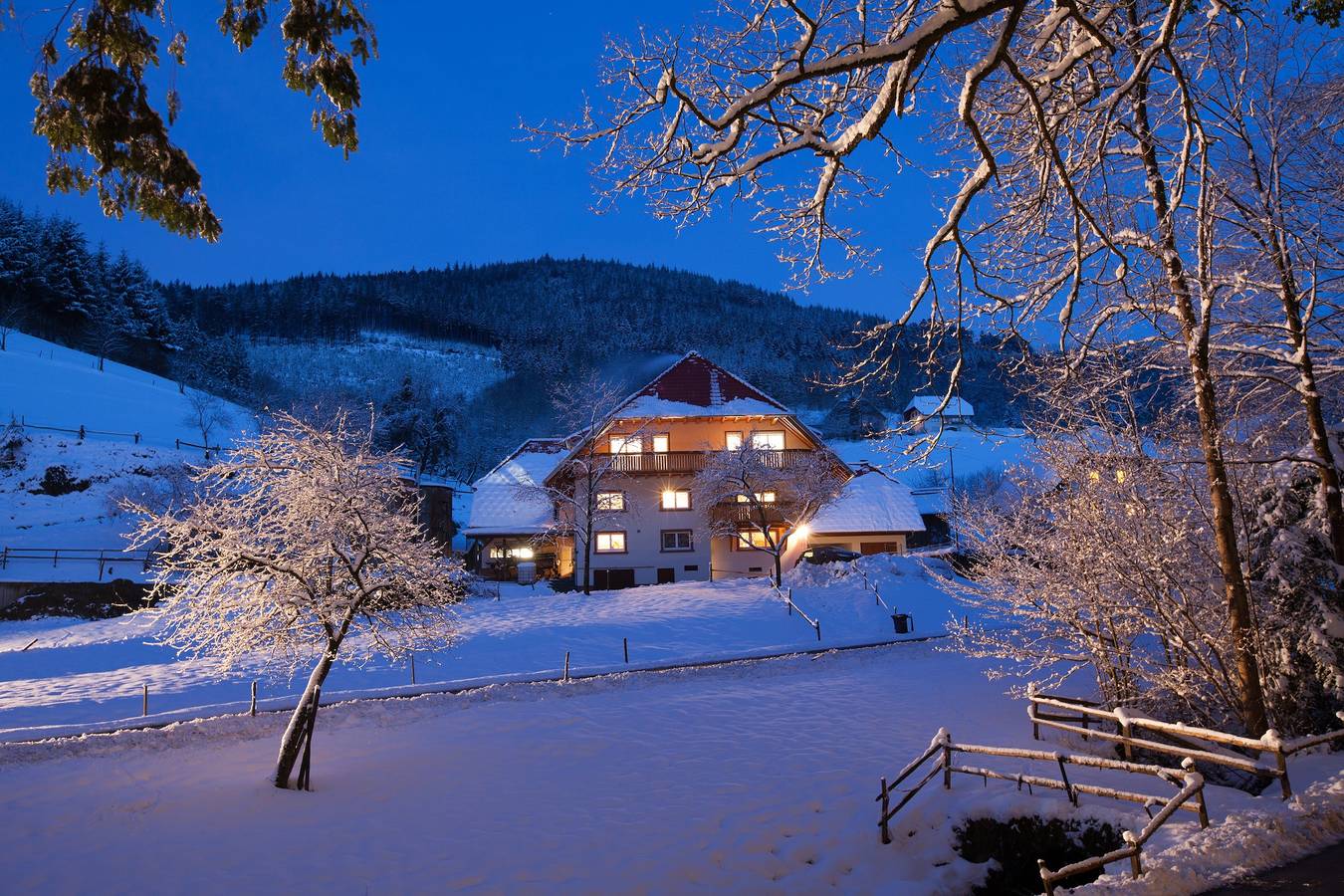 'Gästezimmer Hörnlebergblick' mit gemeinsamer Terrasse, gemeinsamem Garten und Wi-Fi in Winden im Elztal, Südschwarzwald