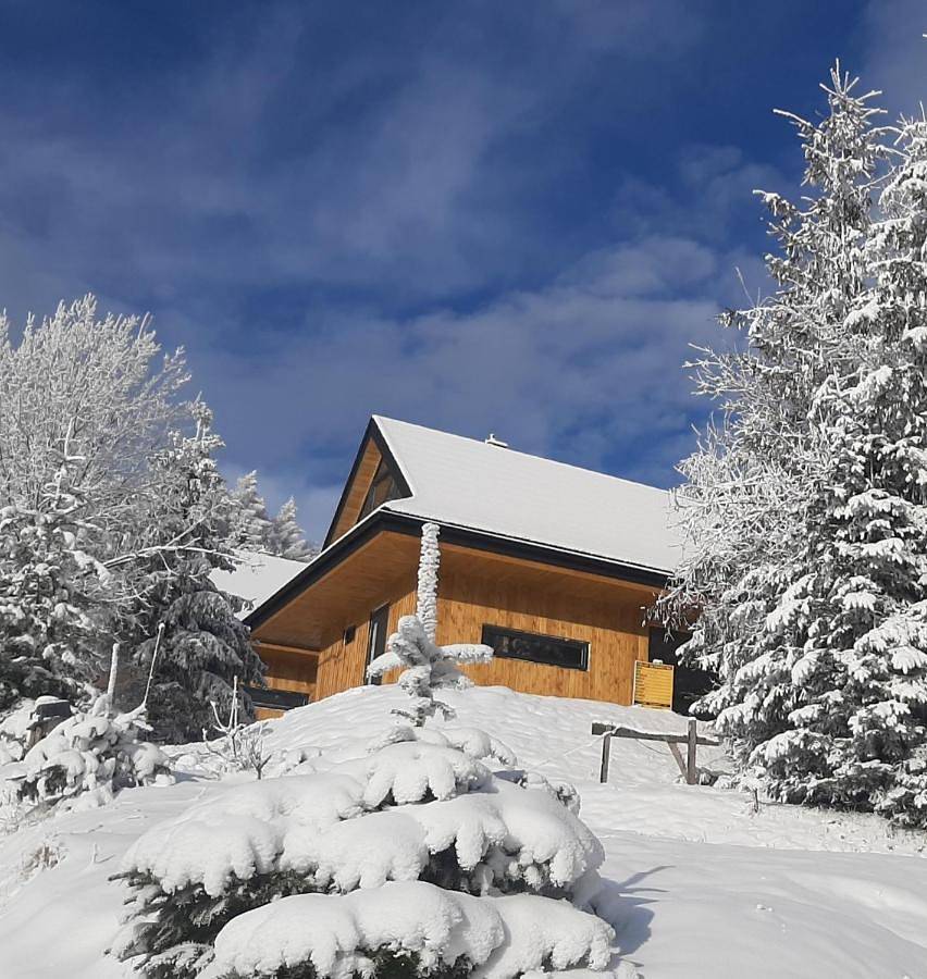 Two-Bedroom Chalet in Krynica-Zdrój, Karpaty (Polska)