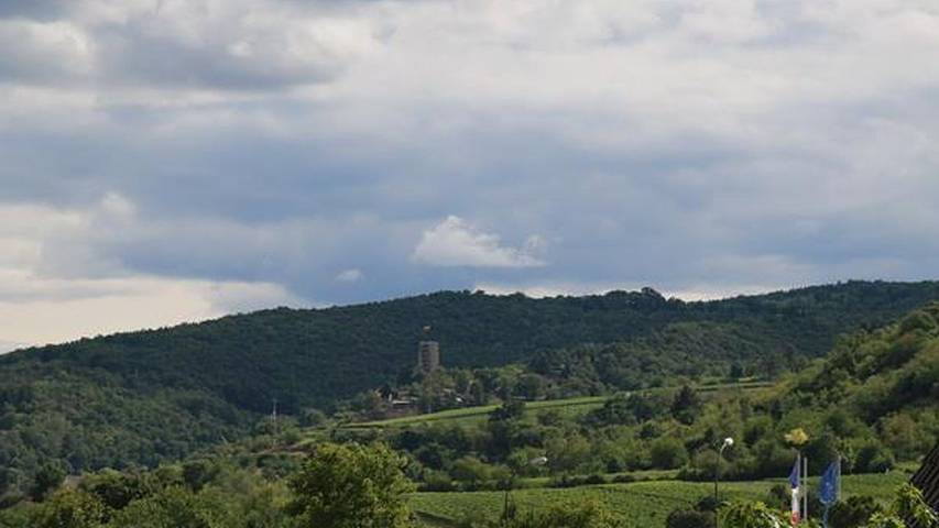 Ferienwohnung für 2 Personen, mit Balkon in Bad Dürkheim - 2